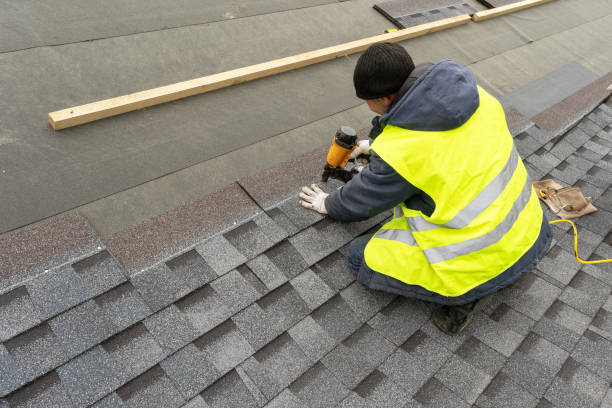Best Roof Gutter Cleaning  in Merrillville, IN