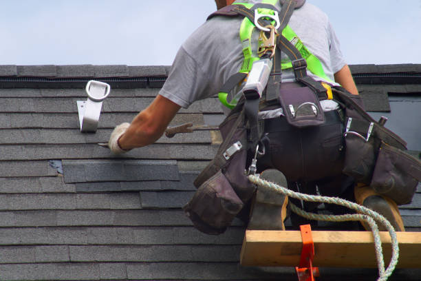 Best Roof Gutter Cleaning  in Merrillville, IN