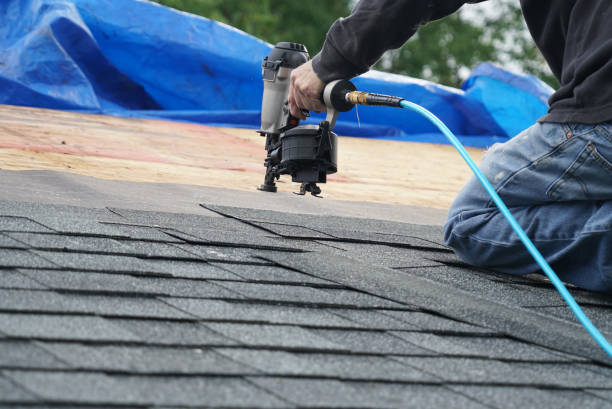 Best Flat Roof Repair Services  in Merrillville, IN